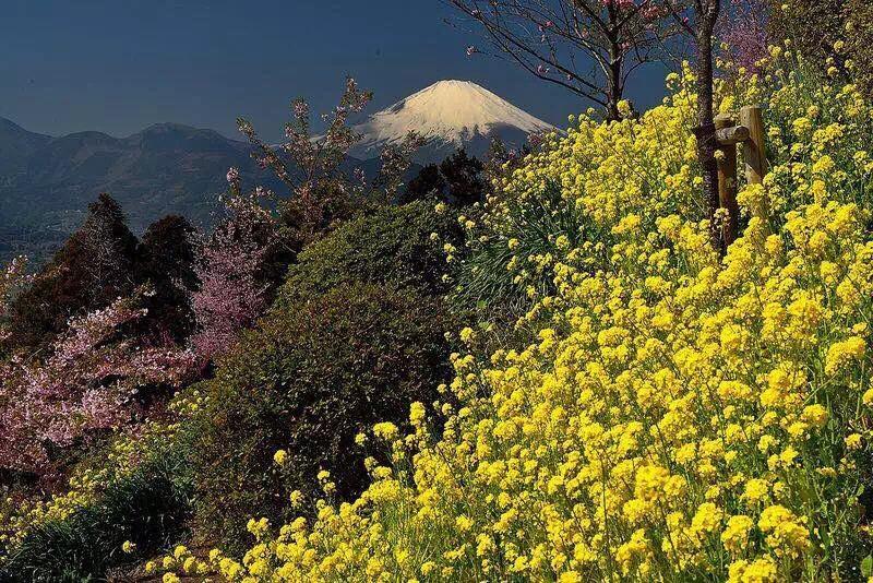 Hotel Hakone Pacific Exteriér fotografie